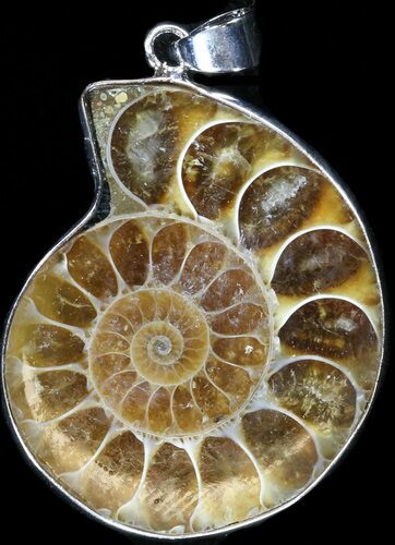 Fossil Ammonite Pendant - Million Years Old #37933